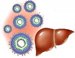 Носительство вируса гепатита в код мкб 10 thumbnail
