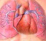 Код мкб легочная артериальная гипертензия thumbnail