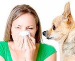 Аллергия на животных код мкб thumbnail