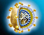 Вирусный гепатит с код по мкб 10 у детей thumbnail