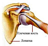 Мкб артрозо артрит плечевого сустава thumbnail