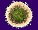 Острый вирусный гепатит код по мкб thumbnail