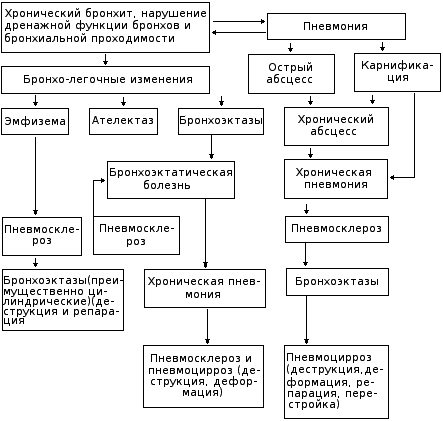 Схема развития хронического воспалительного процесса в легких